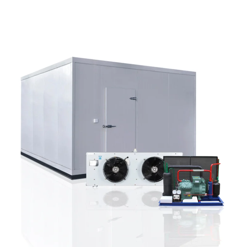 Fungsi Cold Room Chiller Unit untuk Stok Segar
